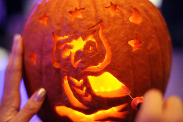 Owls are a popular design idea for a Halloween pumpkin.