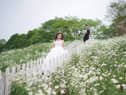 Wedding capacity restrictions are now lifted.