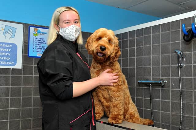 Abbie Gibson, proprietor of Abbie’s Groom Room, pictured with Teddy in her premises on Spencer Road. Photo: George Sweeney.  DER2145GS – 026