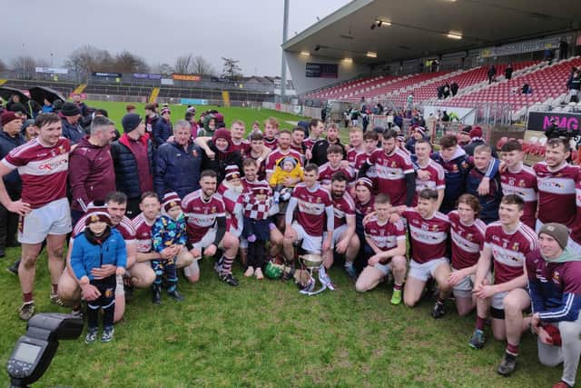 Mark Lynch (front row, extreme left) celebrates with his Banagher team-mates after Saturday's historic Ulster Intermediate hurling Championship victory over Lisbellaw in Healy Park.