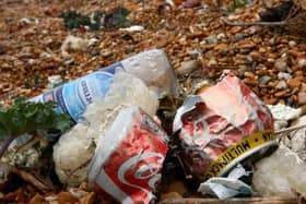 Most single-use plastic ends up in landfill.