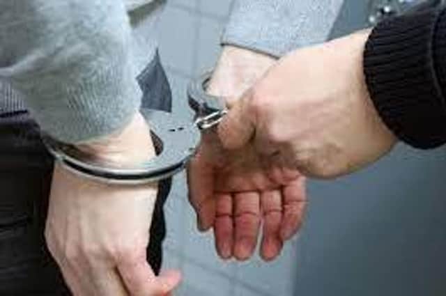 Use of handcuffs or limb restraints (505 instances) accounted for 34% of police uses of force.