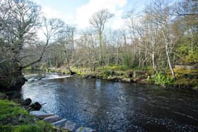 Swan Park in Buncrana.