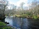 Swan Park in Buncrana.