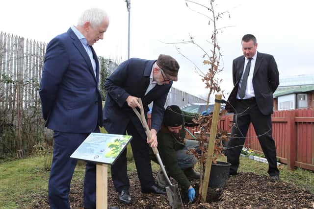 Jeremy Corbyn planting an oak tree to mark the 30th anniversary of Creggan Enterprises.