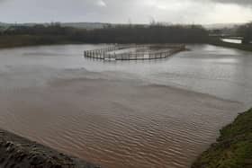 A field close to Mobuoy bridge