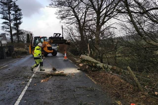 Donegal County Council clearing away fallen tree at Drumfries on the Mountain Road.