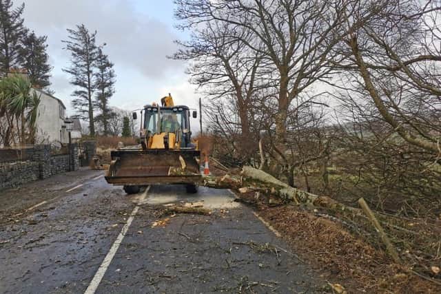 Donegal County Council clearing away fallen tree at Drumfries on the Mountain Road.