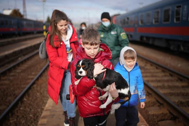 ZAHONY, HUNGARY - MARCH 02: Refugee Kyryl (surname withheld) aged 9, from Kyiv arrives with his pet dog Hugo at the Hungarian border town of Zahony on a train that has come from Ukraine on March 02, 2022 in Zahony, Hungary. Refugees from Ukraine have fled into neighbouring countries such as Hungary, forming long queues at border crossings, after Russia began a large-scale attack on Ukraine on February 24, 2022. (Photo by Christopher Furlong/Getty Images)
