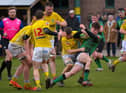 City of Derry’s Ross McLaughlin fights off a chasing Bruff pack at Judges Road on Saturday afternoon last. Photo: George Sweeney. DER2208GS – 113