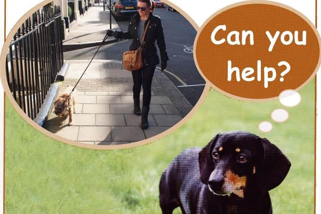 The Cinnamon Trust are looking for Derry dog walkers to help elderly and terminally ill people care for their pets.