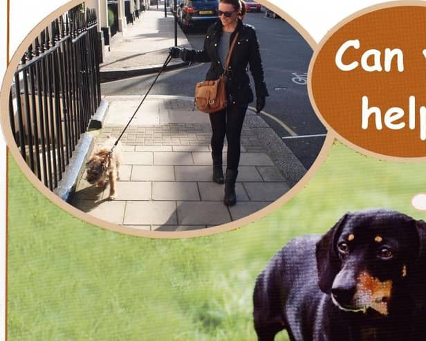 The Cinnamon Trust are looking for Derry dog walkers to help elderly and terminally ill people care for their pets.