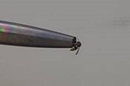 An insect entering an aircraft pitot probe.