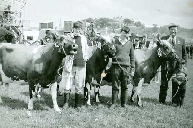 Mr. Noel Lusby, Kilfennan, and three members of his family - from left, sons Ernest (17), Paul (14) and Vincent (4) - with their exhibits which gained a number of prizes at the North West of Ireland Agricultural Society's 142nd annual summer show at Brandywell Grounds in June 1968., including the award for the best three dairy cows.