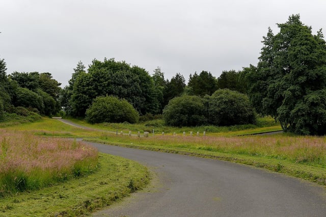 Ballyarnett Road on the outskirts of the city has long walks scattered with parks and streams. There are benches to perch on and you might even come across a horse or a donkey! DER2126GS - 085