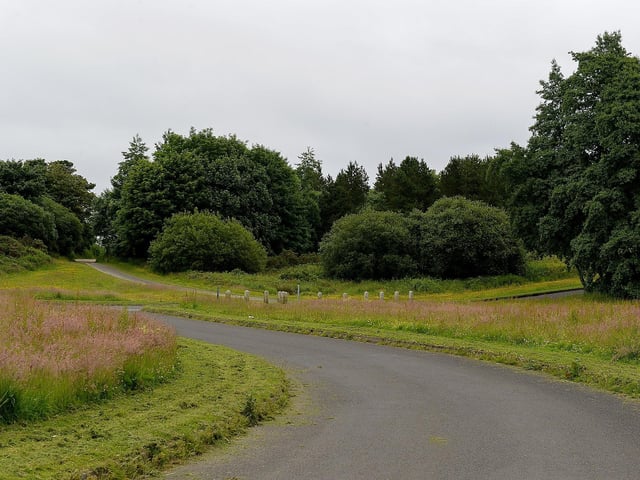 Ballyarnett Road on the outskirts of the city has long walks scattered with parks and streams. There are benches to perch on and you might even come across a horse or a donkey! DER2126GS - 085