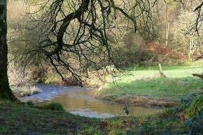 Claudy Country Park on the Cumber Road, Claudy. There is a car park, a new state-of-the-art children’s play area and paths through the park and plenty of flat, grassy areas to sit and enjoy the sunshine.