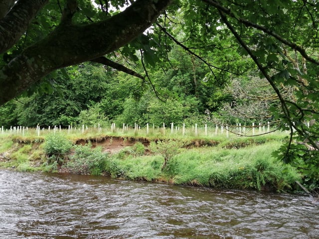 Brackfield Woods on the Glenshane Road is part of a patchwork of newly planted, mature and ancient woodland nestled in the stunning Faughan Valley. There is parking and grassy areas to park yourself.