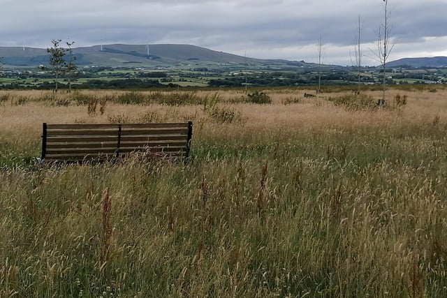 Culmore Country Park on the Coney Road. The park is made up of woodland, grassland and shoreline habitats which are important areas for biodiversity with wading birds feeding on the mudflats. There are grassy areas and benches, perfect to sit for a sandwich.