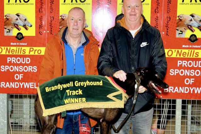 'Black on Black', winner of race 3 at Brandywell Stadium, pictured with Charlie Baxter (left) and winning owner Peter O’Kane, Co. Antrim (right).