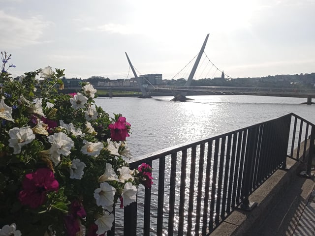 Take in the beautiful river view and floral displays along the River Foyle.