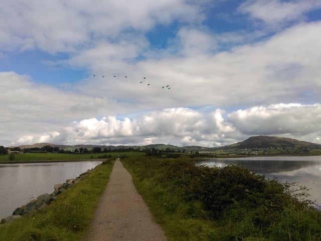 Inch Levels and Bird Sanctuary, Inch, Burt, Donegal.