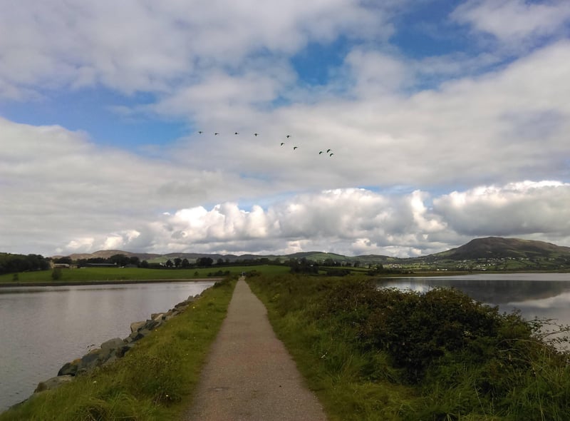 Inch Levels and Bird Sanctuary, Inch, Burt, Donegal.