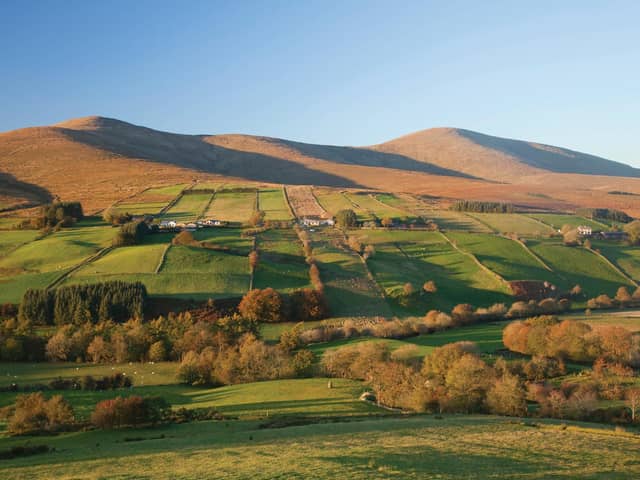 The Sperrin peaks of Dart (left) and Sawel (right).
