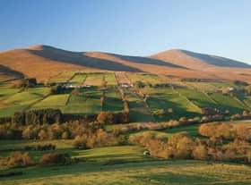 The Sperrin peaks of Dart (left) and Sawel (right).