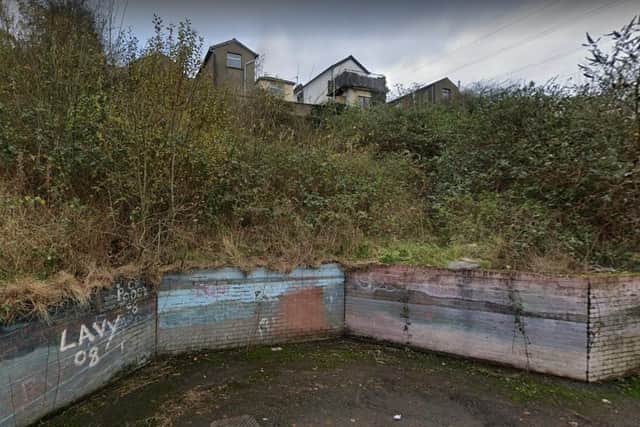 The area to the rear of Alexandra Park in Derry (Google Earth).