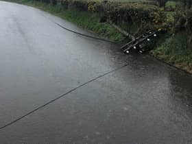 A fallen pole on Kilnappy Road near Drumahoe