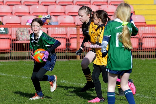 Good Shepherd in action against Glendermott in the Celtic Park Girls’ Primary School Blitz. Photo: George Sweeney.  DER2213GS – 027