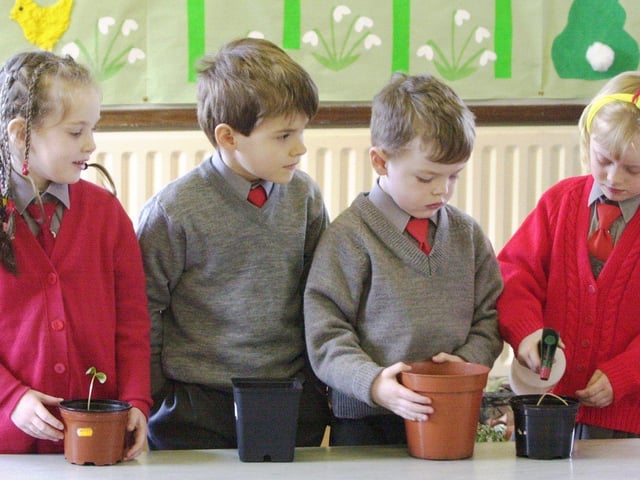 Scoil Iosagain PS, Buncrana.