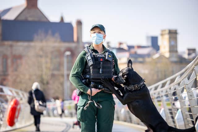 Rico and his handler Jess on the Peace Bridge.