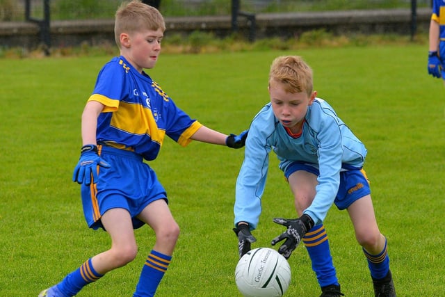 Hollybush ‘B’ in action against St Therese in the Steelstown Primary Schools Cup,