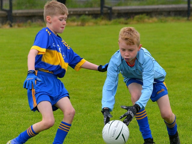 Hollybush ‘B’ in action against St Therese in the Steelstown Primary Schools Cup,