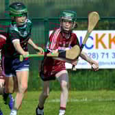 Setanta and Ballinascreen battle for possession during the Seán Mellon Hurling Festival at Páirc Na Magha on Saturday morning last. Photo: George Sweeney.  DER2223GS – 140