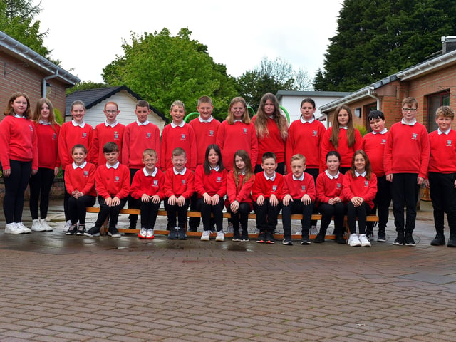 Mr J Scott’s P7 class at Drumahoe Primary School. DER22019GS - 029