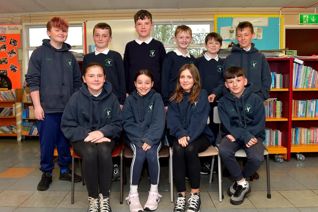 Ms Mhic Giolla Bhuí ‘s Rang 7 class at Bunscoil Cholmcille. DER2220GS – 007