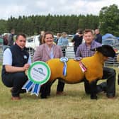 The Sheep Interbreed champion at Armagh Show 2022 with (from left) Mark Morrison, Fane Valley, Elizabeth McAllister, sheep interbreed judge, Mark Priestly, who exhibited the Suffolk shearling ewe, and Joe Maginness, from Seaforde