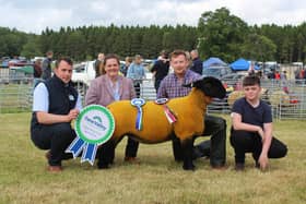 The Sheep Interbreed champion at Armagh Show 2022 with (from left) Mark Morrison, Fane Valley, Elizabeth McAllister, sheep interbreed judge, Mark Priestly, who exhibited the Suffolk shearling ewe, and Joe Maginness, from Seaforde