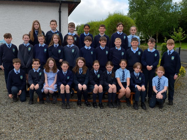 Mr O’Connor’s P7 class at Hollybush Primary School. DER2222GS – 064
