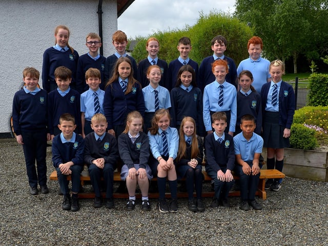 Mr Mc Nulty’s P7 class at Hollybush Primary School. DER2222GS – 063