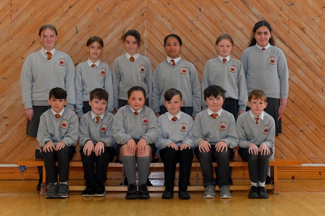 Mr Torney’s  P7 class at Fountain Primary School. DER2222GS – 038