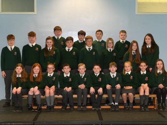 Mr Martin’s P7 class at Greenhaw Primary School. DER2222GS – 039