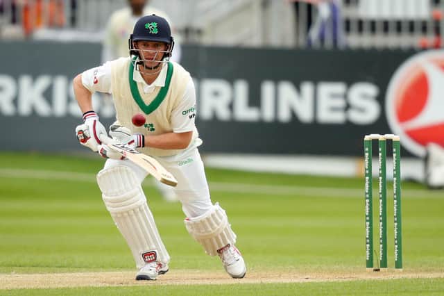 Ireland's William Porterfield in test against at Malahide