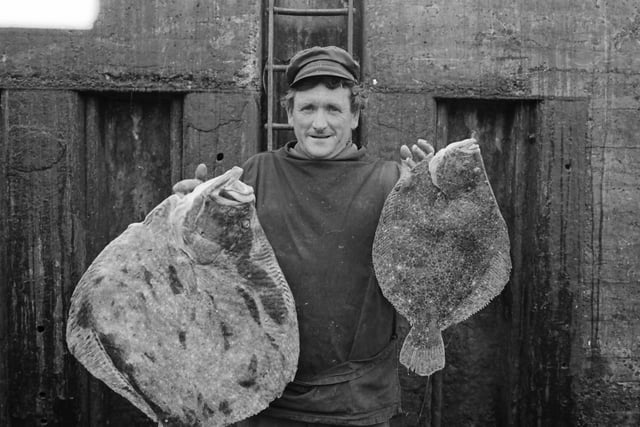 John D. McLaughlin, Portaleen, Malin, skipper of the trawler, ‘Rós na Gille’ displaying two fine specimens of Turbot and Brill from his catch after landing at Greencastle, which was enjoying a bumper season in June 1982.