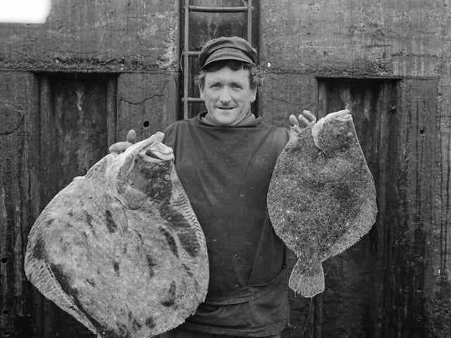 John D. McLaughlin, Portaleen, Malin, skipper of the trawler, ‘Rós na Gille’ displaying two fine specimens of Turbot and Brill from his catch after landing at Greencastle, which was enjoying a bumper season in June 1982.