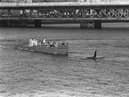 KIller whale ('Dopey Dick') trapped in the river Foyle at Derry.  Army patrol boat tries to persuade Dopey to leave the river....12/11/77Ref  252/77/bw
