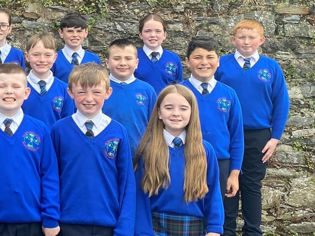 St Catherine's PS, Strabane P7B.